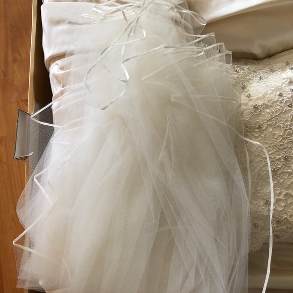Amsale Wedding Dress (used) - Picture 10 of 10